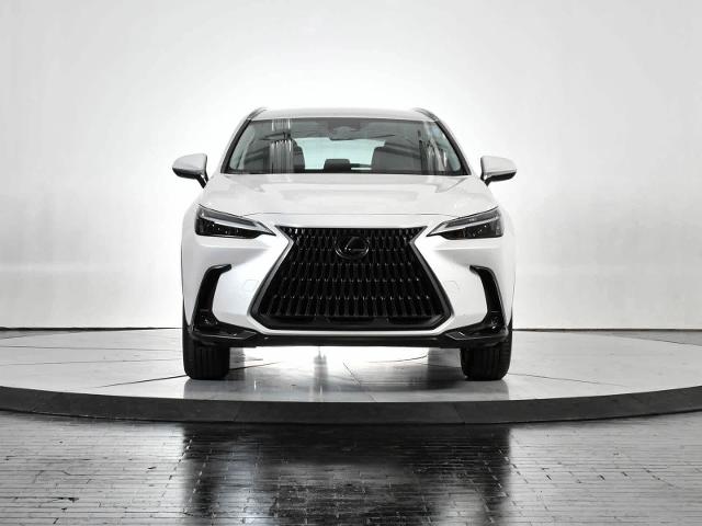 2024 Lexus NX 250 Vehicle Photo in DALLAS, TX 75235
