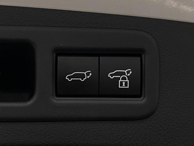 2024 Lexus RX 350 Vehicle Photo in Appleton, WI 54913