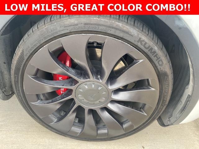 2022 Tesla Model Y Vehicle Photo in San Antonio, TX 78230
