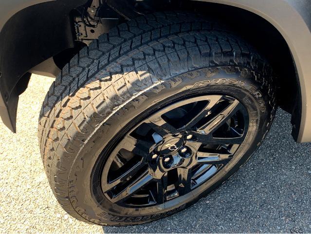 2025 Chevrolet Colorado Vehicle Photo in BEAUFORT, SC 29906-4218