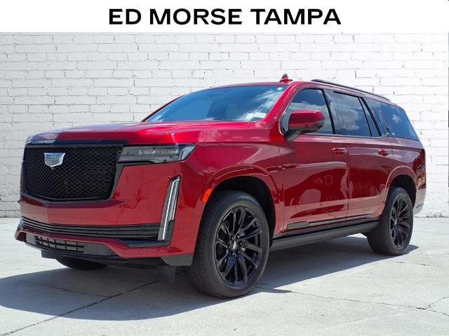 2024 Cadillac Escalade Vehicle Photo in Tampa, FL 33612
