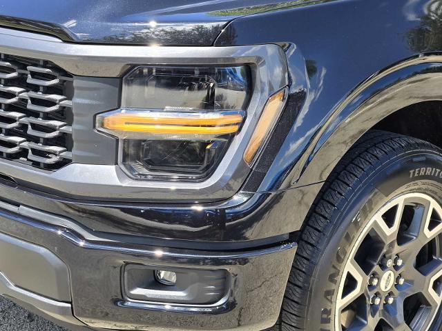 2024 Ford F-150 Vehicle Photo in DENTON, TX 76210-9321
