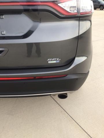 2018 Ford Edge Vehicle Photo in Peoria, IL 61615