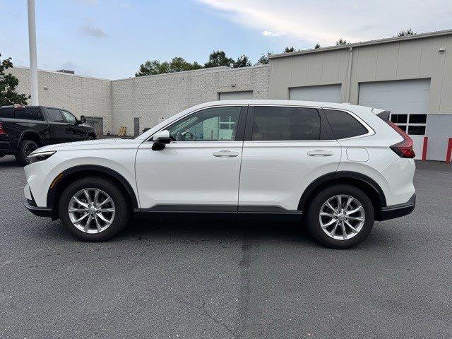 2025 Honda CR-V Vehicle Photo in Mechanicsburg, PA 17050-1707