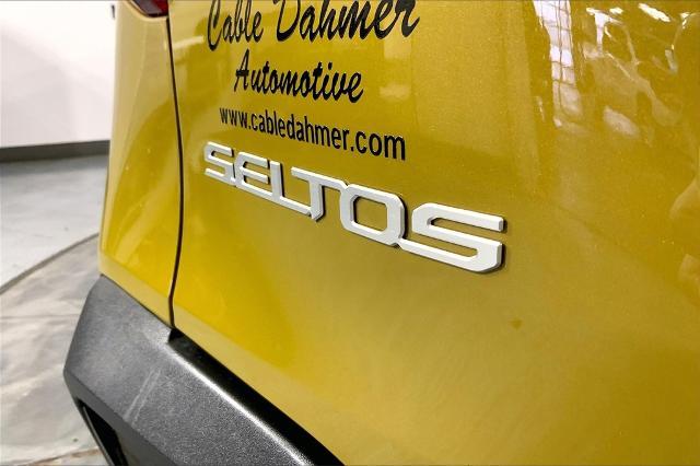 2024 Kia Seltos Vehicle Photo in Lees Summit, MO 64086