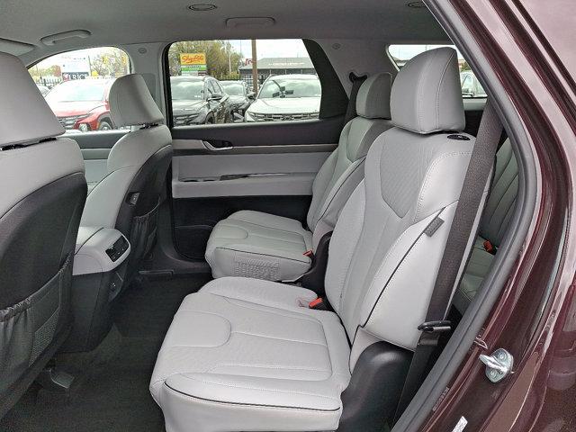 2024 Hyundai PALISADE Vehicle Photo in Philadelphia, PA 19116