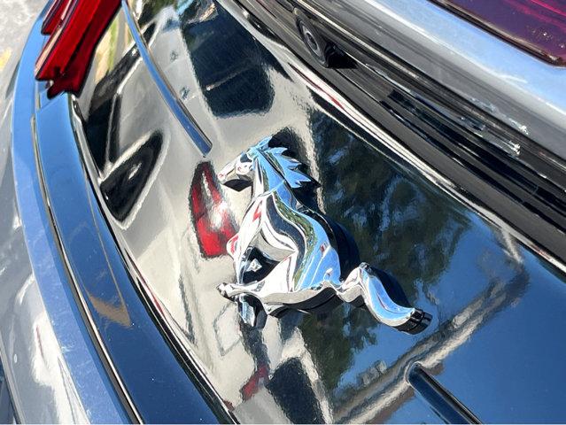 2022 Ford Mustang Vehicle Photo in Savannah, GA 31419