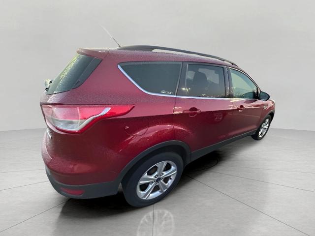 2013 Ford Escape Vehicle Photo in Green Bay, WI 54304