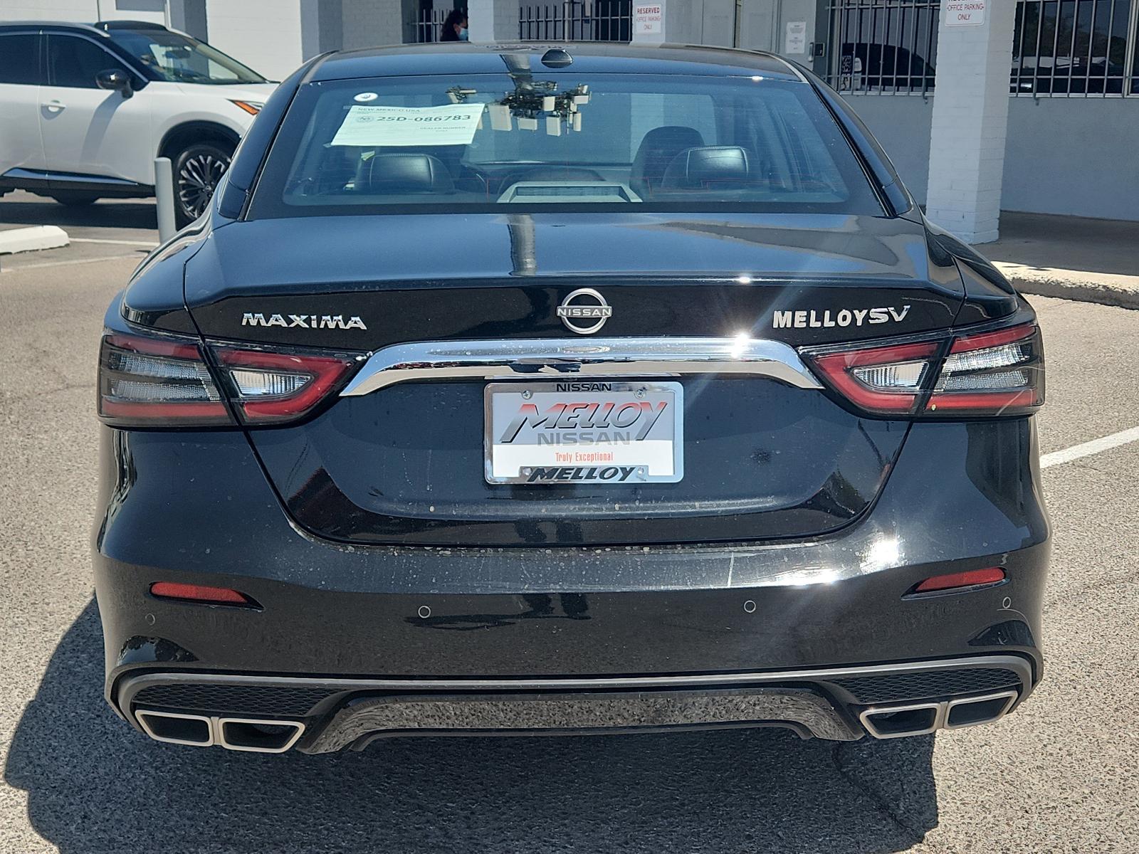 2023 Nissan Maxima Vehicle Photo in Albuquerque, NM 87110