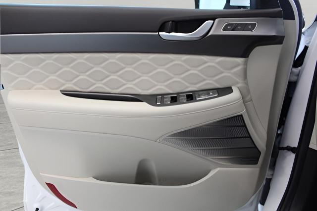 2020 Hyundai PALISADE Vehicle Photo in Green Bay, WI 54304