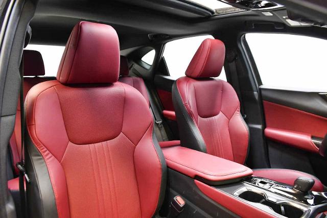 2024 Lexus NX 350 Vehicle Photo in DALLAS, TX 75235
