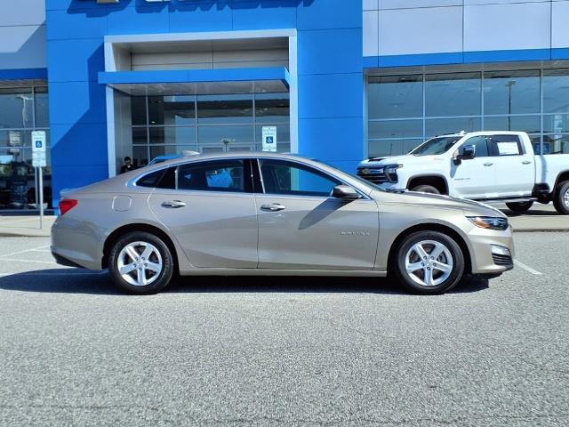 2023 Chevrolet Malibu Vehicle Photo in EMPORIA, VA 23847-1235