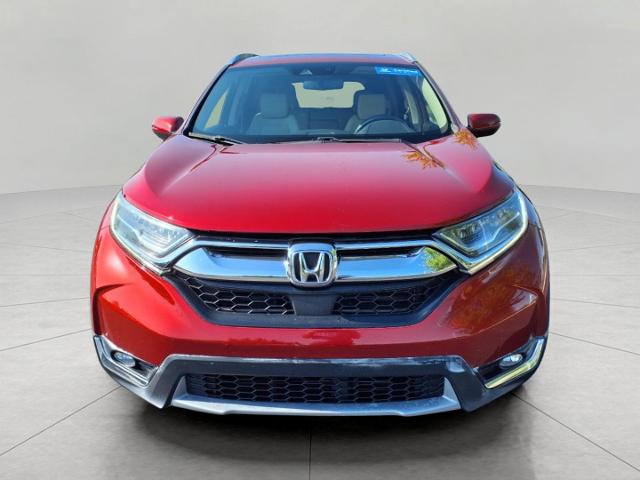 2019 Honda CR-V Vehicle Photo in Appleton, WI 54914