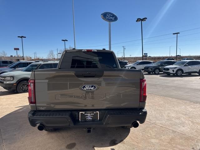 2025 Ford F-150 Vehicle Photo in Winslow, AZ 86047-2439