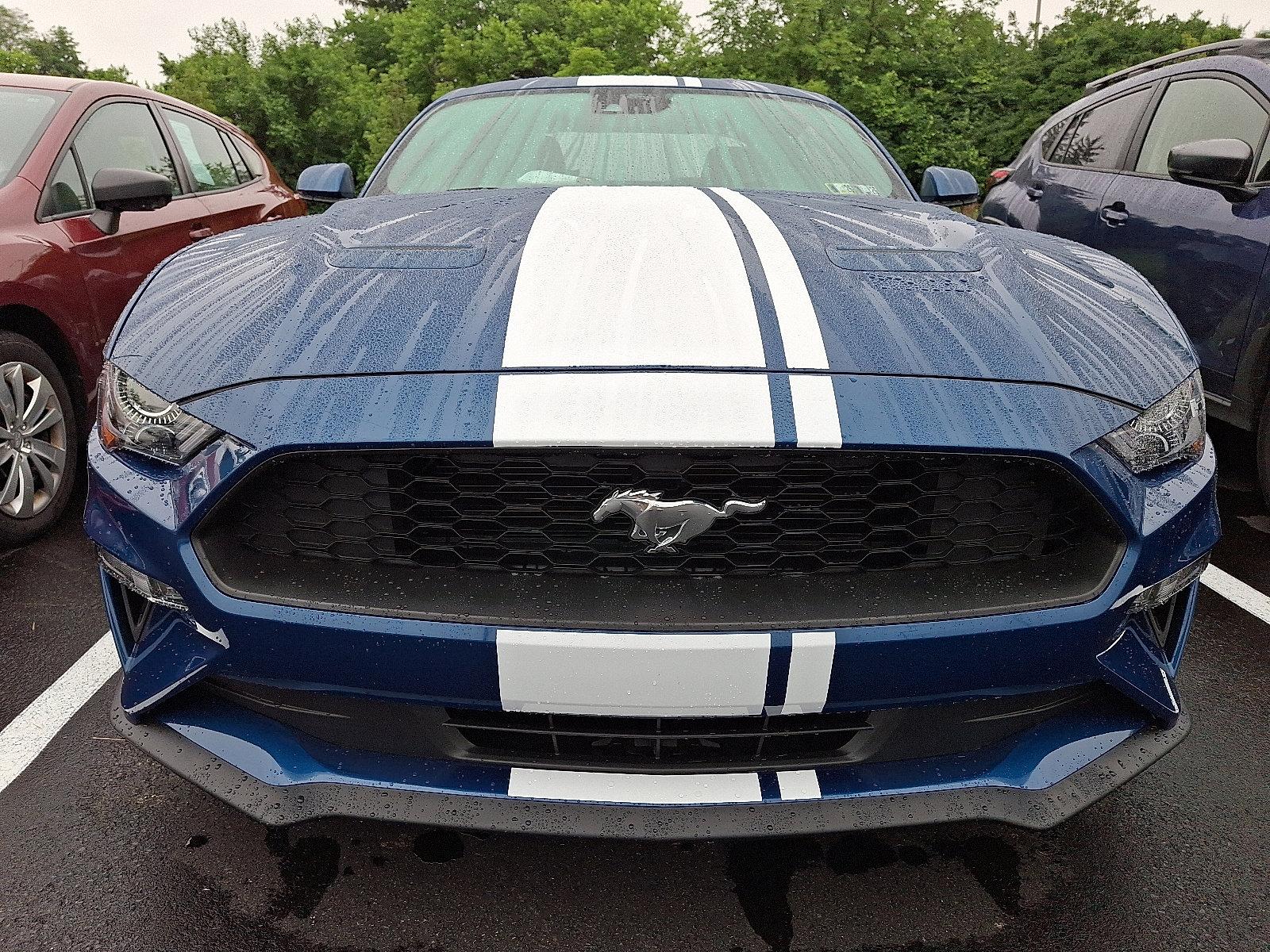 2023 Ford Mustang Vehicle Photo in Easton, PA 18045