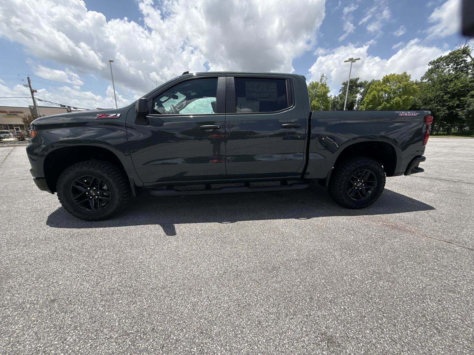 2025 Chevrolet Silverado 1500 Vehicle Photo in BENTONVILLE, AR 72712-4322