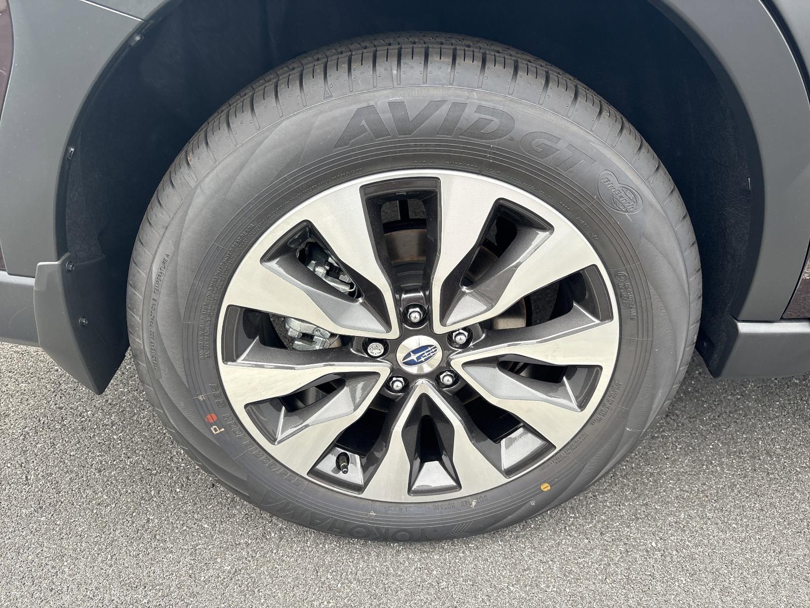 2025 Subaru Outback Vehicle Photo in Mechanicsburg, PA 17050