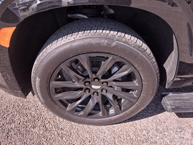 2024 Cadillac Escalade Vehicle Photo in NEDERLAND, TX 77627-8017