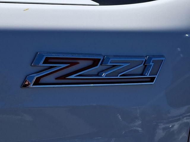2024 Chevrolet Silverado 2500 HD Vehicle Photo in DANBURY, CT 06810-5034