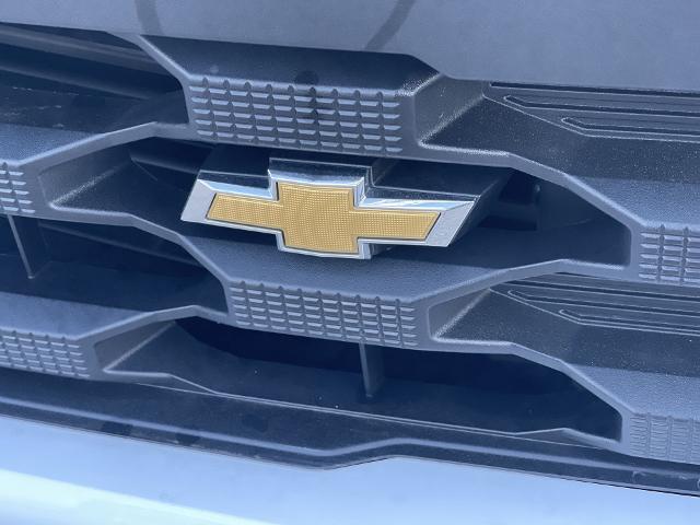 2024 Chevrolet Silverado 1500 Vehicle Photo in BENTONVILLE, AR 72712-4322