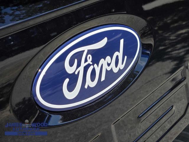 2024 Ford F-150 Vehicle Photo in DENTON, TX 76210-9321