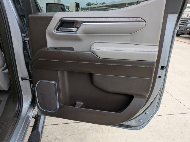 2023 Chevrolet Silverado 1500 Vehicle Photo in SELMA, TX 78154-1459
