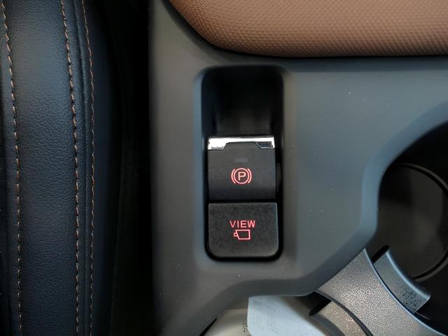 2025 Subaru Forester Vehicle Photo in Green Bay, WI 54304