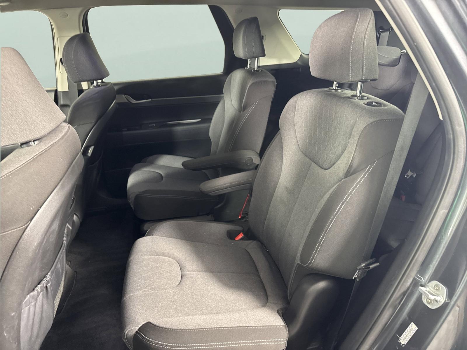 2020 Hyundai PALISADE Vehicle Photo in Georgetown, TX 78626