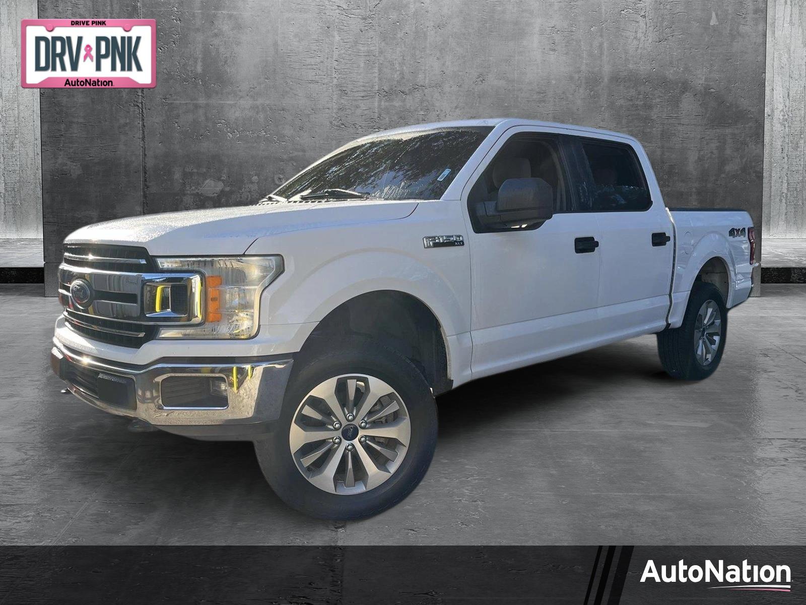 2018 Ford F-150 Vehicle Photo in Jacksonville, FL 32256