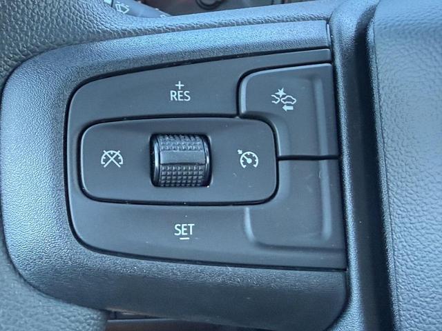 2025 GMC Sierra 3500 HD Vehicle Photo in COLUMBIA, MO 65203-3903