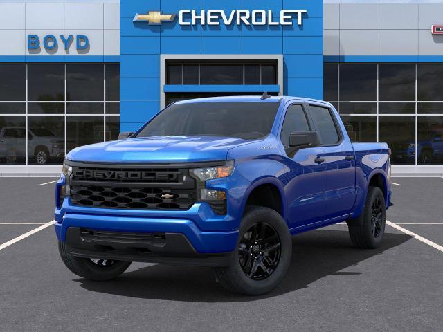 2025 Chevrolet Silverado 1500 Vehicle Photo in EMPORIA, VA 23847-1235