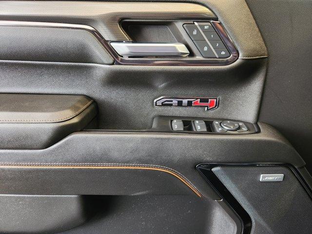 2024 GMC Sierra 1500 Vehicle Photo in Decatur, TX 76234