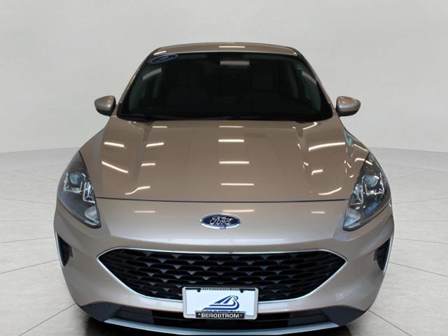 2020 Ford Escape Vehicle Photo in Green Bay, WI 54304