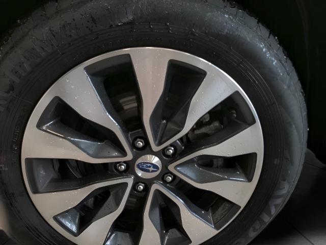2024 Subaru Outback Vehicle Photo in Green Bay, WI 54304