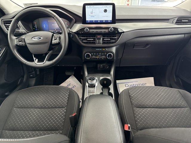 2024 Ford Escape Vehicle Photo in Charlotte, NC 28273