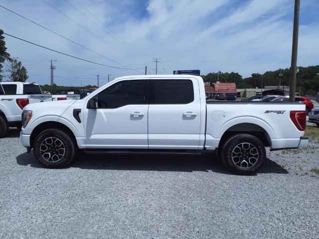 Used 2021 Ford F-150 XLT with VIN 1FTEW1EP3MFA57943 for sale in Hartselle, AL