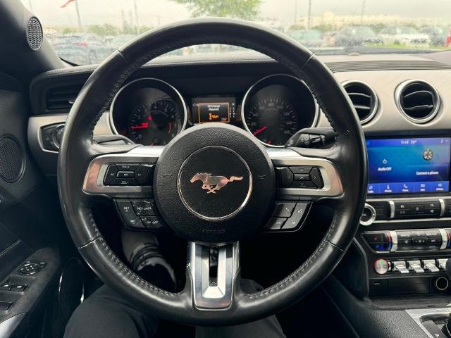 2023 Ford Mustang Vehicle Photo in San Antonio, TX 78230