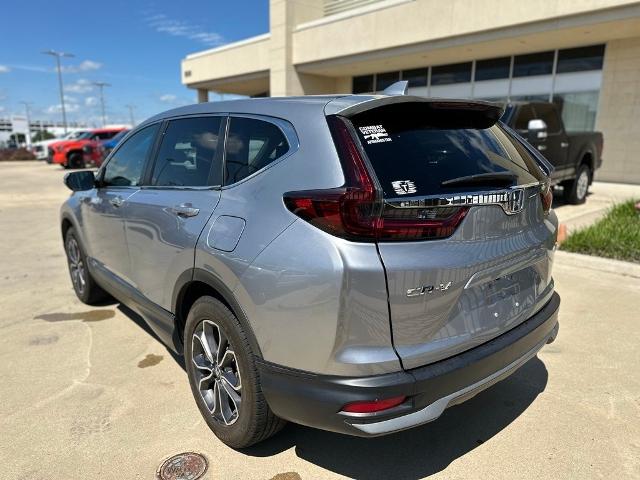 2020 Honda CR-V Vehicle Photo in San Antonio, TX 78230