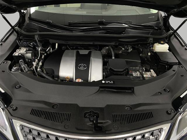 2020 Lexus RX 350 Vehicle Photo in Appleton, WI 54913
