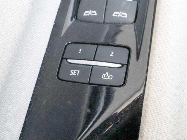 2021 Cadillac Escalade Vehicle Photo in Dallas, TX 75209