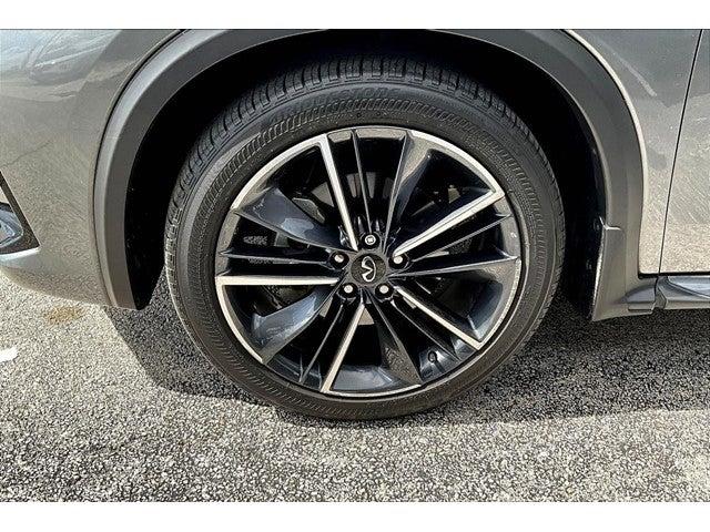 2023 INFINITI QX55 Vehicle Photo in San Antonio, TX 78230
