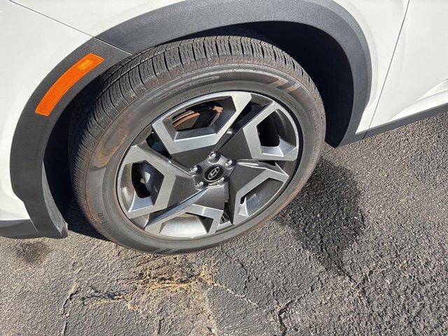 2024 Hyundai PALISADE Vehicle Photo in Philadelphia, PA 19116
