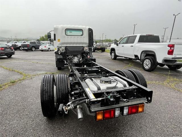 2024 Chevrolet Low Cab Forward 4500 Vehicle Photo in ALCOA, TN 37701-3235