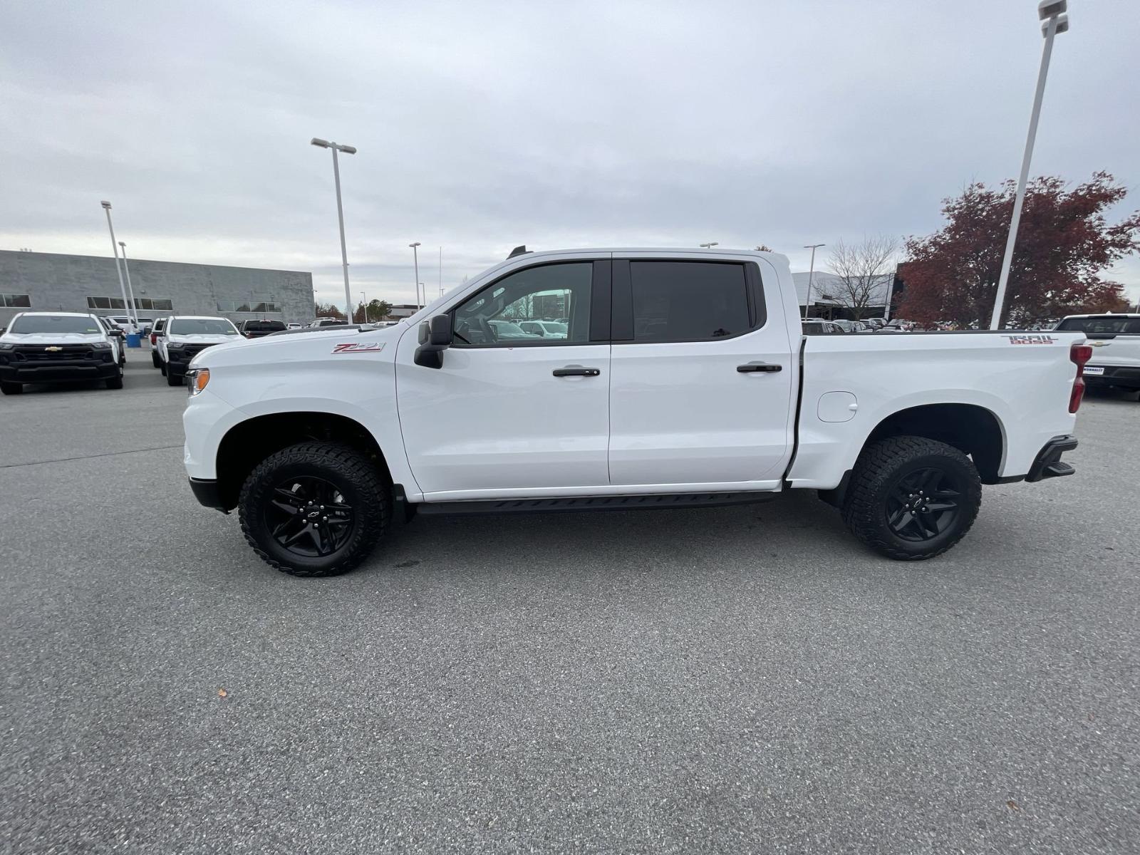 2025 Chevrolet Silverado 1500 Vehicle Photo in BENTONVILLE, AR 72712-4322