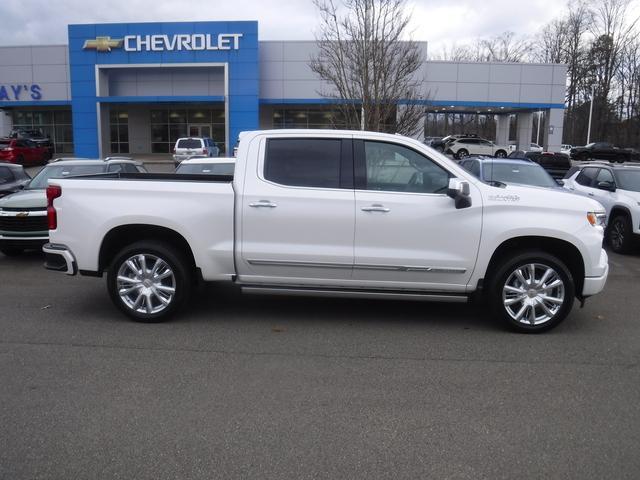 2025 Chevrolet Silverado 1500 Vehicle Photo in JASPER, GA 30143-8655