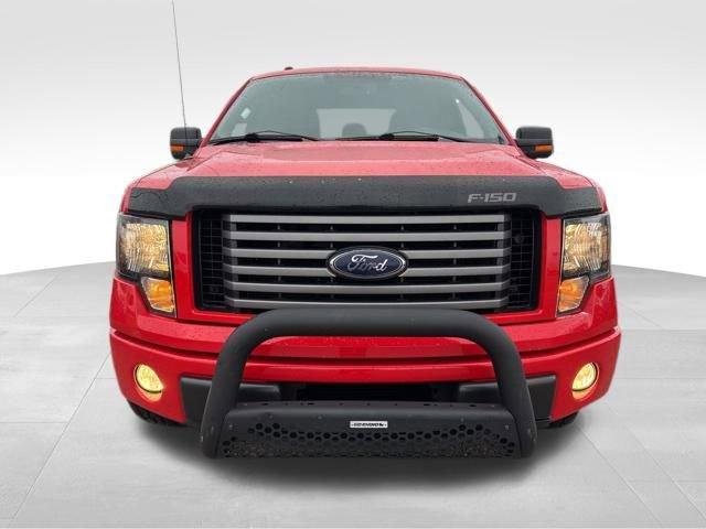 2012 Ford F-150 Vehicle Photo in MEDINA, OH 44256-9631