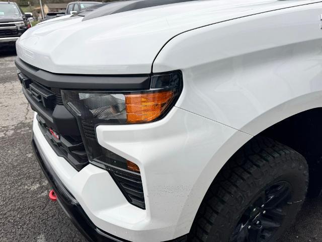2025 Chevrolet Silverado 1500 Vehicle Photo in FAIRMONT, WV 26554-2318