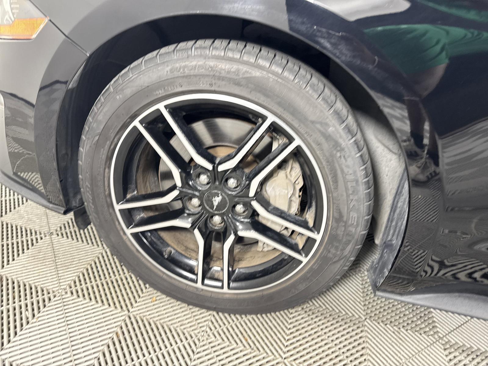 2018 Ford Mustang Vehicle Photo in GEORGETOWN, TX 78626-7508