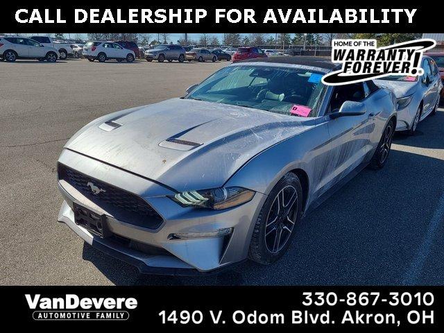 2022 Ford Mustang Vehicle Photo in AKRON, OH 44320-4088