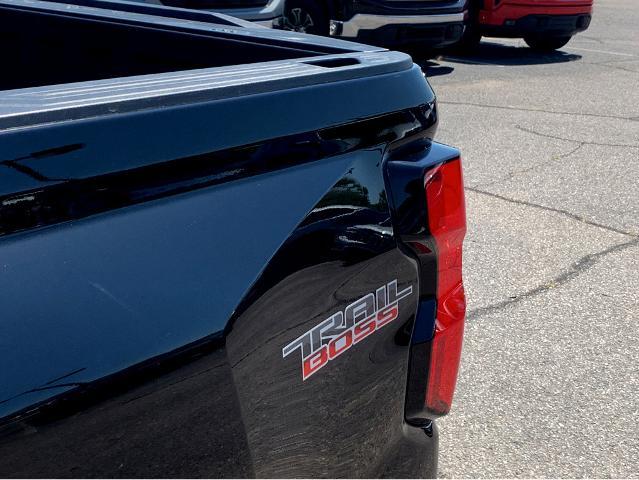 2025 Chevrolet Colorado Vehicle Photo in BEAUFORT, SC 29906-4218
